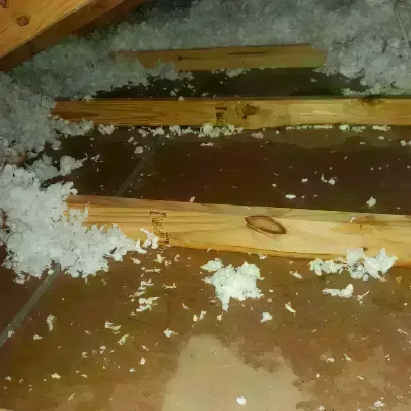 Attic Water Damage in Williams County, ND