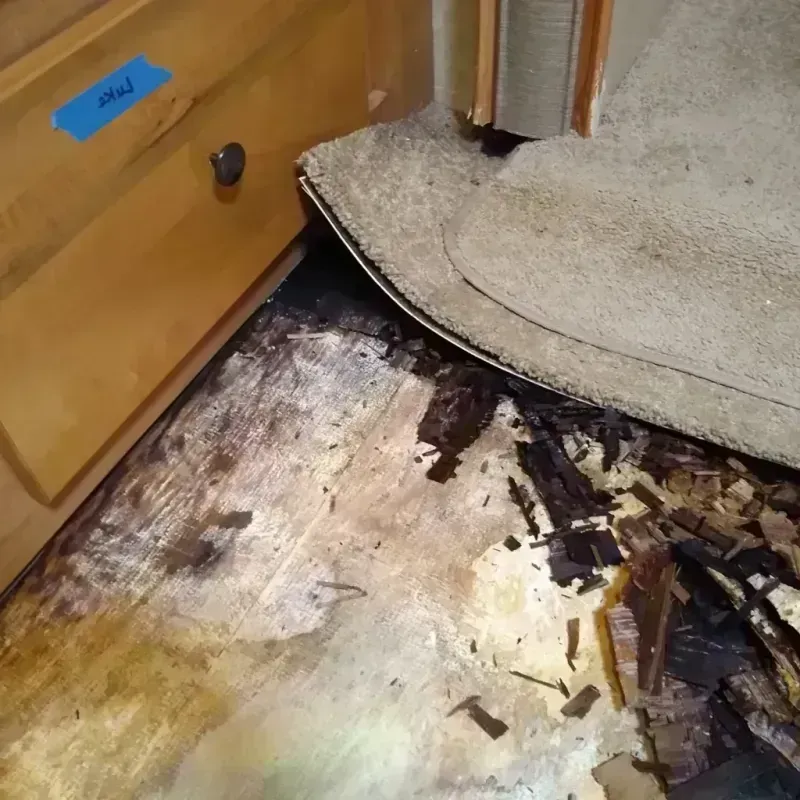 Best Wood Floor Water Damage Service in Williams County, ND